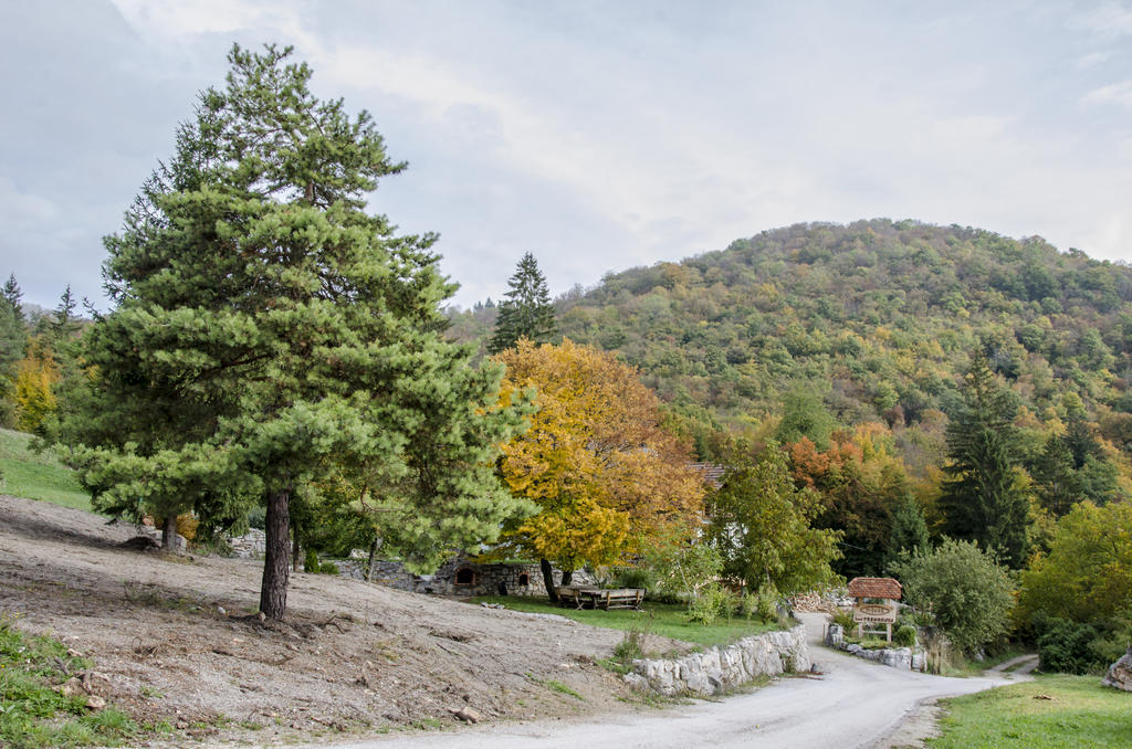 Miskar Rooms Cerknica Exterior photo