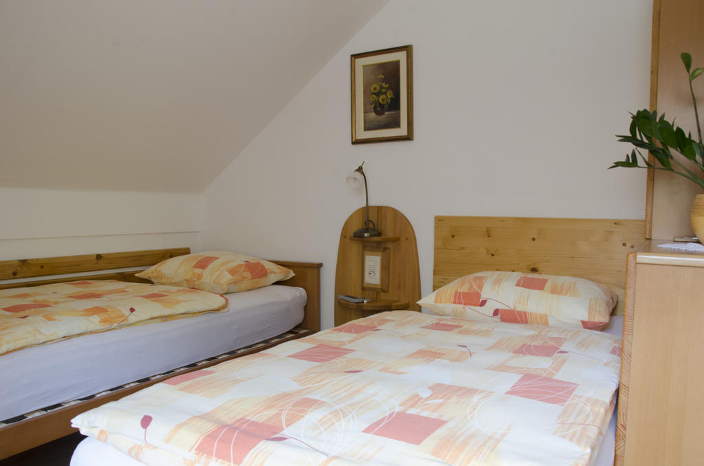 Miskar Rooms Cerknica Room photo